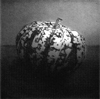 https://greenwich-printmakers.co.uk/files/gimgs/th-16_13_ornamental-gourd-72-dpi.jpg