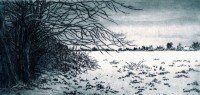 https://greenwich-printmakers.co.uk/files/gimgs/th-16_13_winter-field-72-dpi.jpg