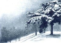 https://greenwich-printmakers.co.uk/files/gimgs/th-16_Winter Firs (with snow) 600pix 72dpi.jpg