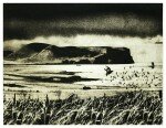 https://greenwich-printmakers.co.uk/files/gimgs/th-8_Orkney_Etching_web.jpg
